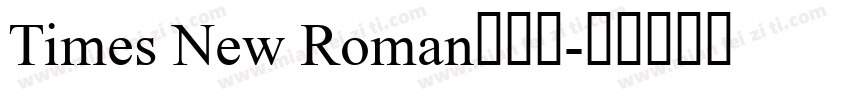Times New Roman生成器字体转换